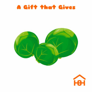A gift that gives - sprouts - Homeless Oxfordshire cards