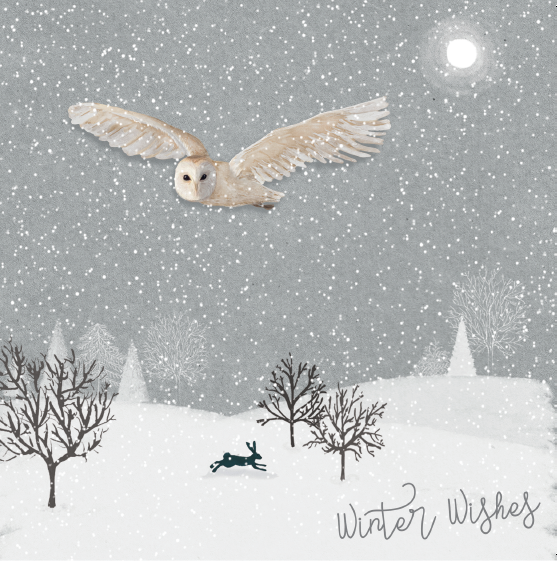 Owl flying in winter Christmas card - Homeless Oxfordshire Shop