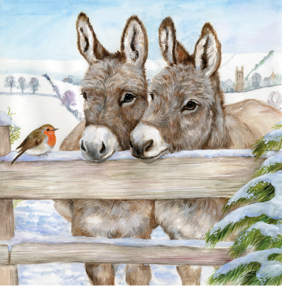 Donkey Companions Christmas card - Homeless Oxfordshire Shop