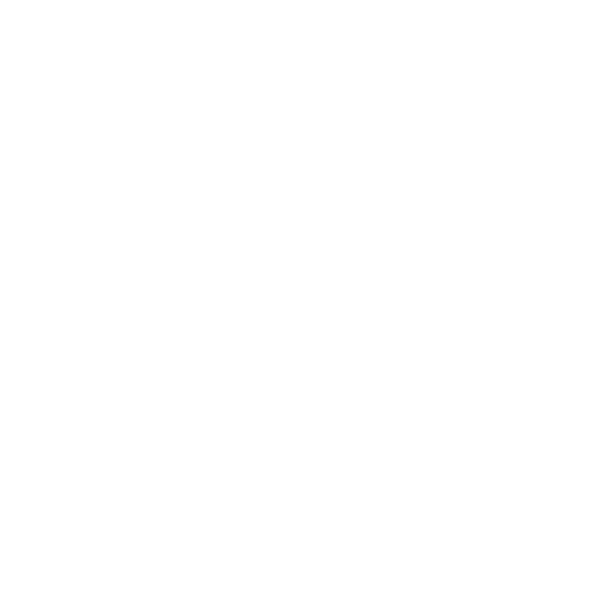 HOXStock logo white
